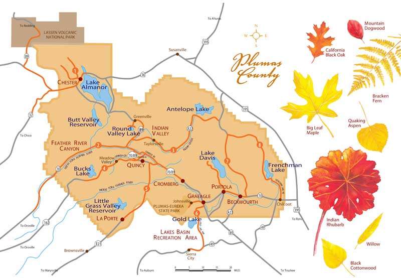 Popular ‘Fall Colors’ map invites autumn tourism - Plumas News