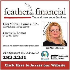 Feather Financial Web Button 4 8 20